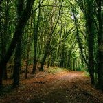 You Cannot Miss Your Destiny