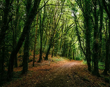 You Cannot Miss Your Destiny