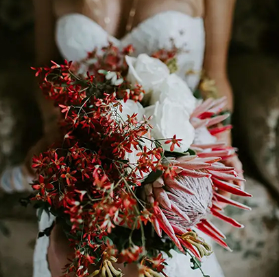 Highlighted Testimonial